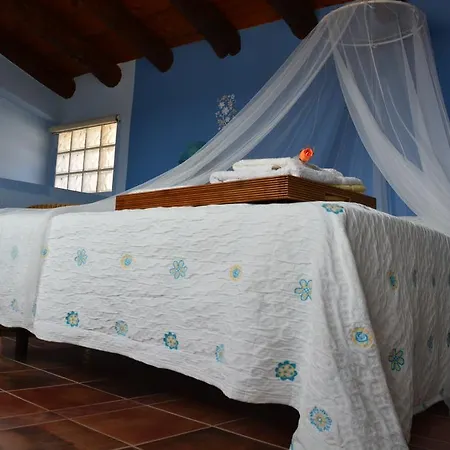 Fuentevieja La Mata de los Olmos